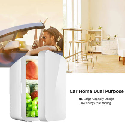 Mini Portable Fridge